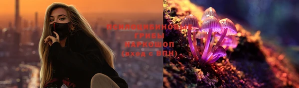 стаф Ленск