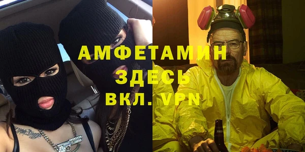 гашик Алексеевка