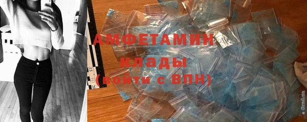 гашик Алексеевка