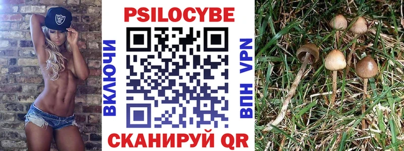 Галлюциногенные грибы GOLDEN TEACHER  Чапаевск 